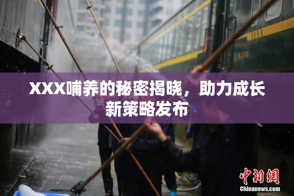 XXX哺养的秘密揭晓，助力成长新策略发布