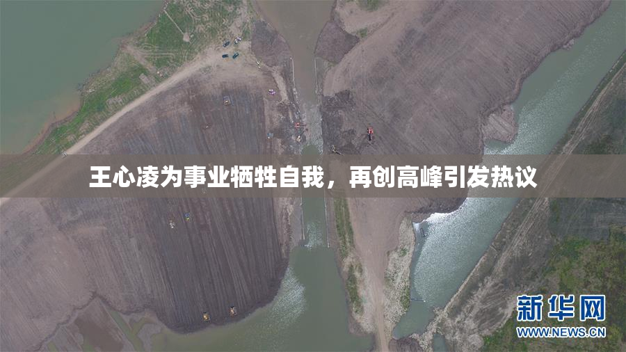 王心凌为事业牺牲自我，再创高峰引发热议