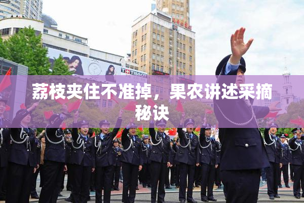 荔枝夹住不准掉，果农讲述采摘秘诀