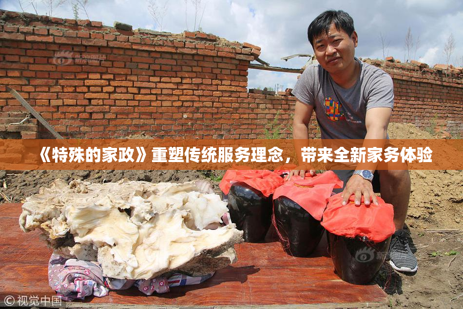 《特殊的家政》重塑传统服务理念，带来全新家务体验
