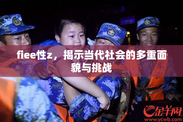 fiee性z，揭示当代社会的多重面貌与挑战