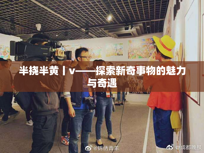 半挠半黄丨v——探索新奇事物的魅力与奇遇