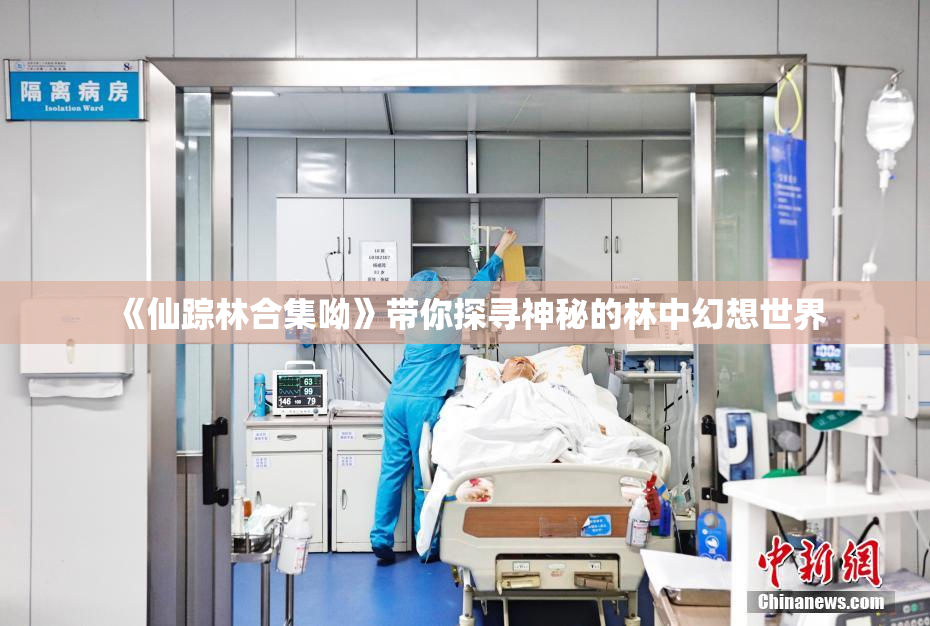 《仙踪林合集呦》带你探寻神秘的林中幻想世界
