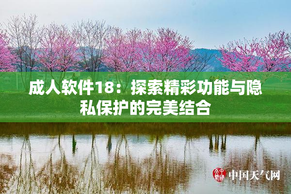 成人软件18：探索精彩功能与隐私保护的完美结合