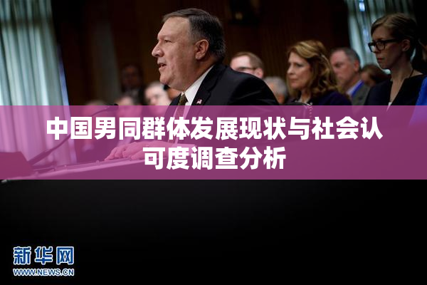 中国男同群体发展现状与社会认可度调查分析