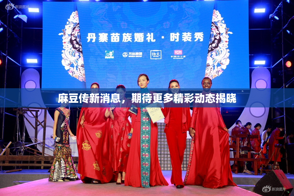 麻豆传新消息，期待更多精彩动态揭晓