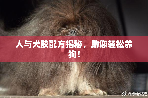 人与犬胶配方揭秘，助您轻松养狗！