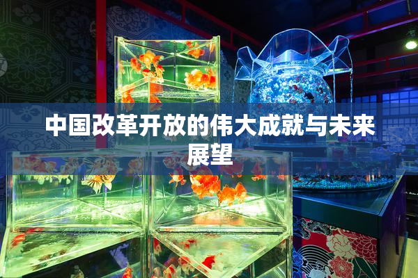 中国改革开放的伟大成就与未来展望