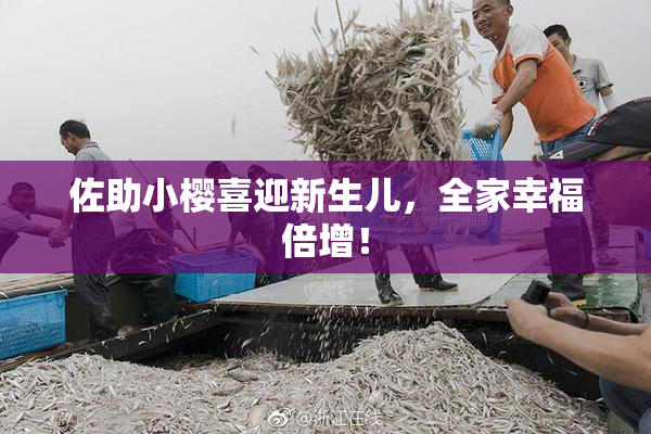 佐助小樱喜迎新生儿，全家幸福倍增！