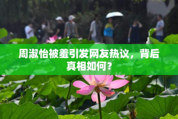 周淑怡被羞引发网友热议，背后真相如何？