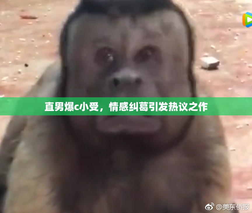 直男爆c小受，情感纠葛引发热议之作