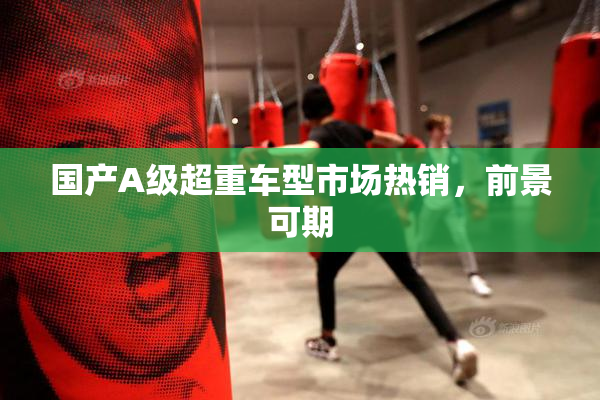 国产A级超重车型市场热销，前景可期