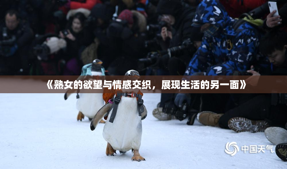 《熟女的欲望与情感交织，展现生活的另一面》