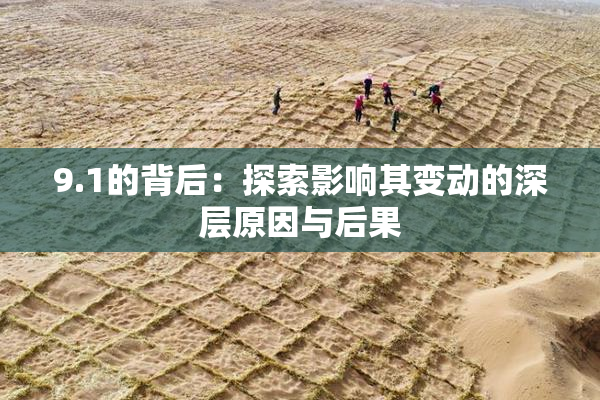 9.1的背后：探索影响其变动的深层原因与后果