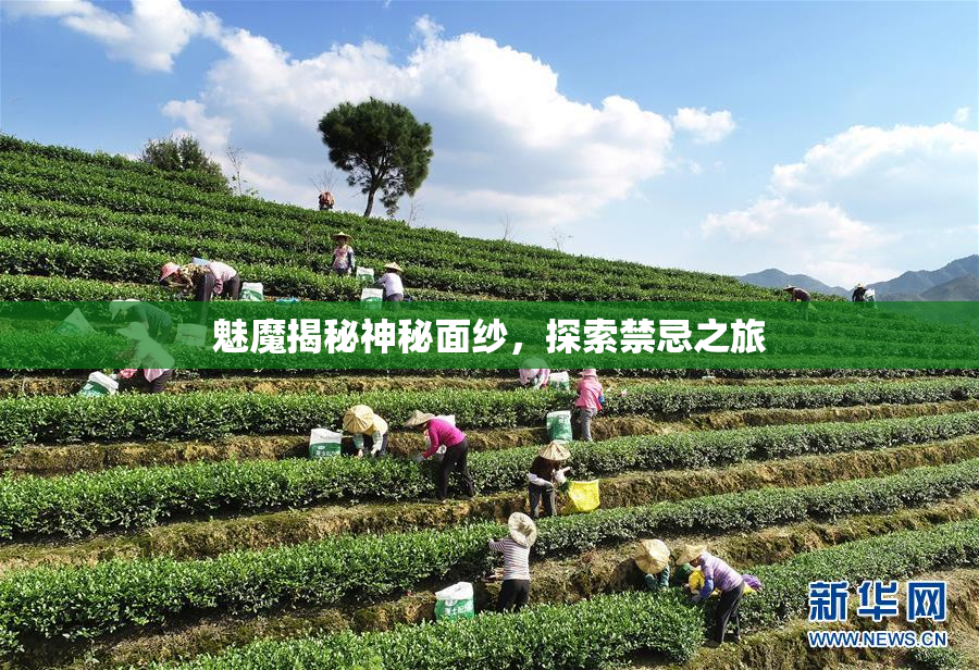 魅魔揭秘神秘面纱，探索禁忌之旅