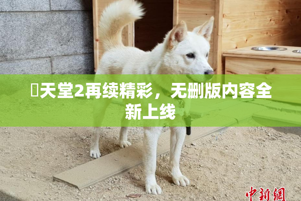 妺天堂2再续精彩，无删版内容全新上线