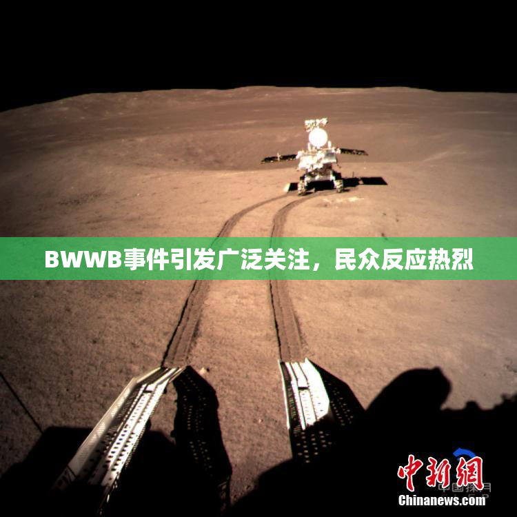 BWWB事件引发广泛关注，民众反应热烈