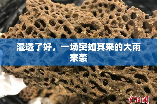 湿透了好，一场突如其来的大雨来袭