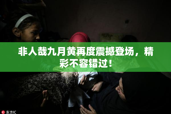 非人哉九月黄再度震撼登场，精彩不容错过！