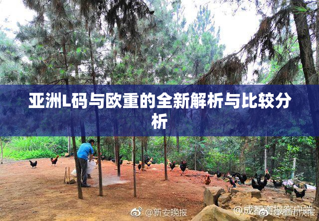 亚洲L码与欧重的全新解析与比较分析