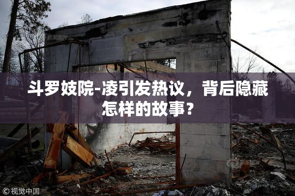 斗罗妓院-凌引发热议，背后隐藏怎样的故事？