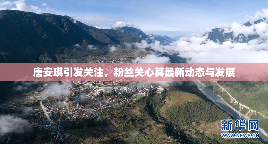 唐安琪引发关注，粉丝关心其最新动态与发展