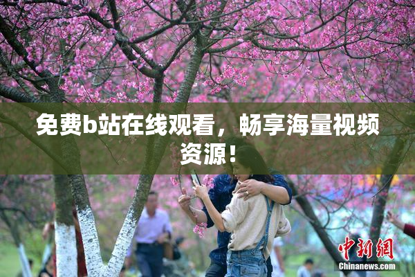 免费b站在线观看，畅享海量视频资源！
