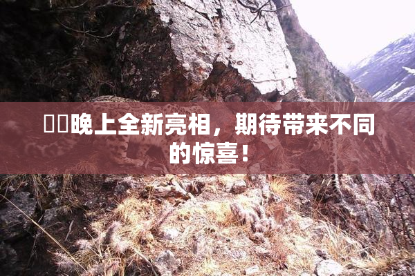 妺妺晚上全新亮相，期待带来不同的惊喜！