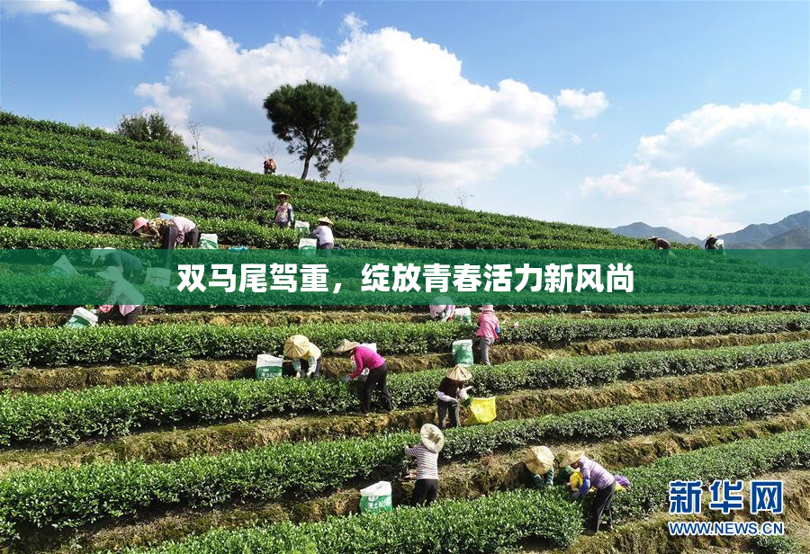 双马尾驾重，绽放青春活力新风尚