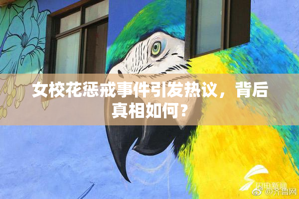 女校花惩戒事件引发热议，背后真相如何？