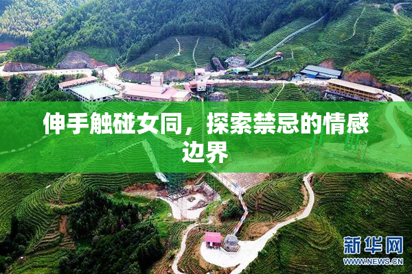 伸手触碰女同，探索禁忌的情感边界
