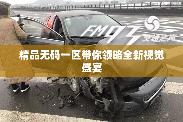 精品无码一区带你领略全新视觉盛宴
