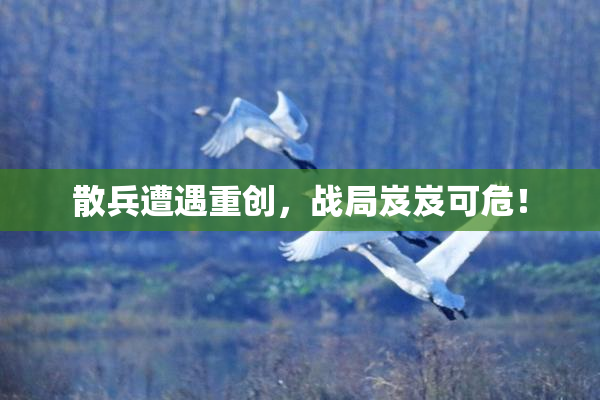 散兵遭遇重创，战局岌岌可危！