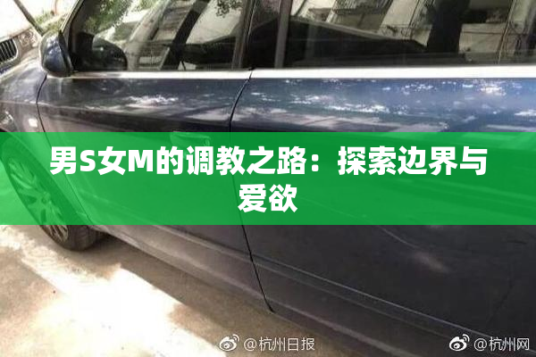 男S女M的调教之路：探索边界与爱欲