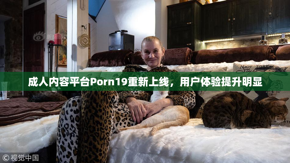 成人内容平台Porn19重新上线，用户体验提升明显