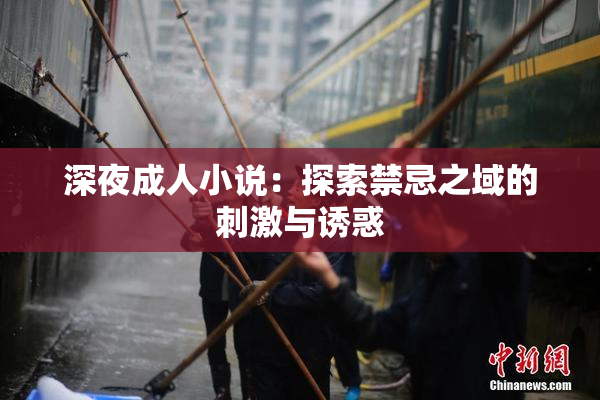 深夜成人小说：探索禁忌之域的刺激与诱惑