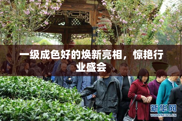 一级成色好的焕新亮相，惊艳行业盛会