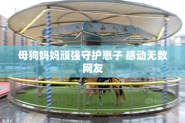 母狗妈妈顽强守护崽子 感动无数网友