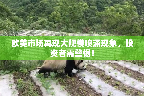 欧美市场再现大规模喷涌现象，投资者需警惕！