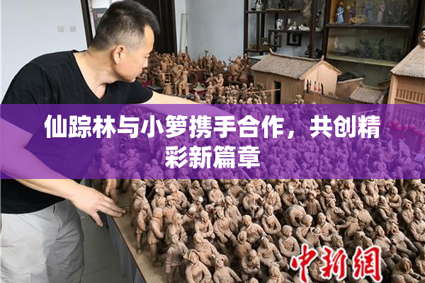 仙踪林与小箩携手合作，共创精彩新篇章