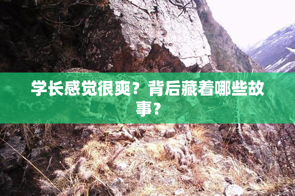 学长感觉很爽？背后藏着哪些故事？