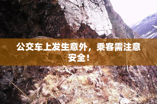 公交车上发生意外，乘客需注意安全！