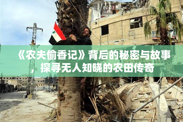《农夫偷香记》背后的秘密与故事，探寻无人知晓的农田传奇