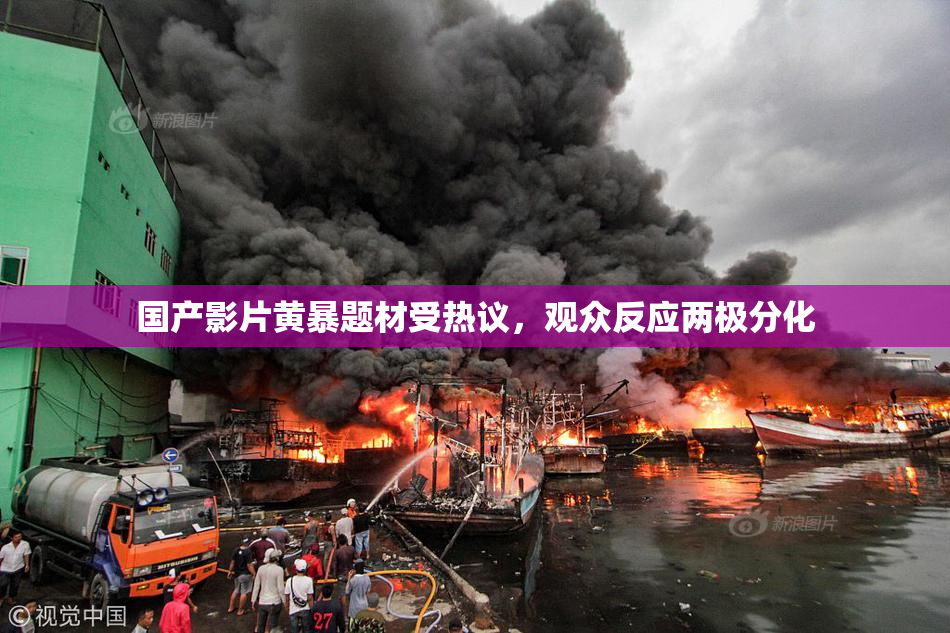 国产影片黄暴题材受热议，观众反应两极分化