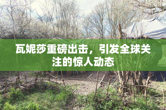 瓦妮莎重磅出击，引发全球关注的惊人动态
