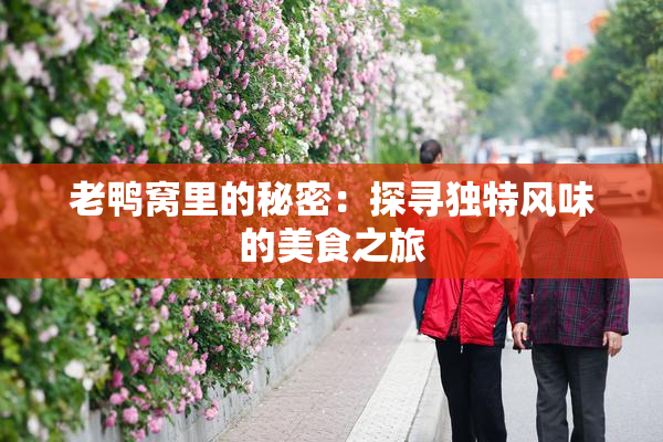 老鸭窝里的秘密：探寻独特风味的美食之旅