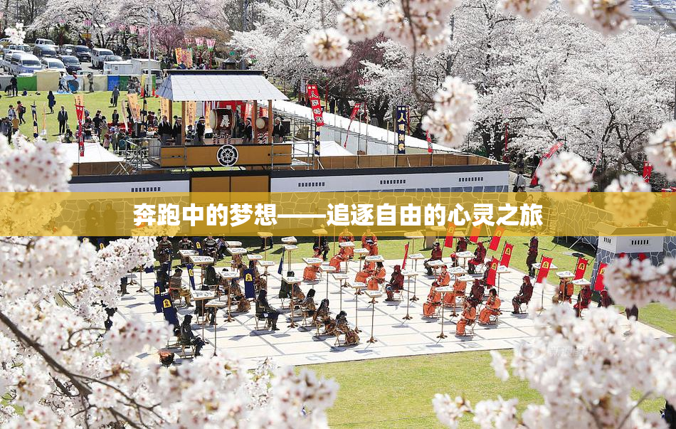 奔跑中的梦想——追逐自由的心灵之旅