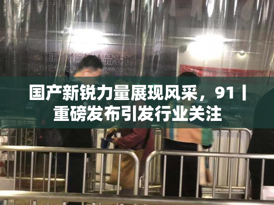 国产新锐力量展现风采，91丨重磅发布引发行业关注