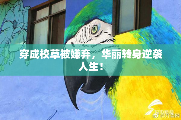 穿成校草被嫌弃，华丽转身逆袭人生！