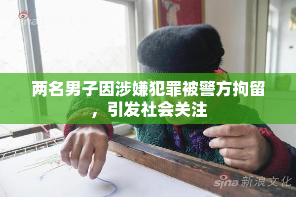 两名男子因涉嫌犯罪被警方拘留，引发社会关注